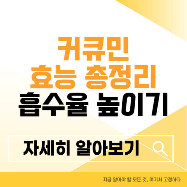 제목을 입력해주세요 004 2 5