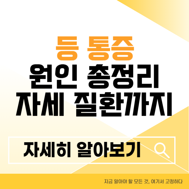 제목을 입력해주세요 004 5 3